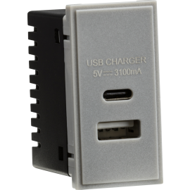 Dual USB Charger (3.1A) Module 25 x 50mm - Grey